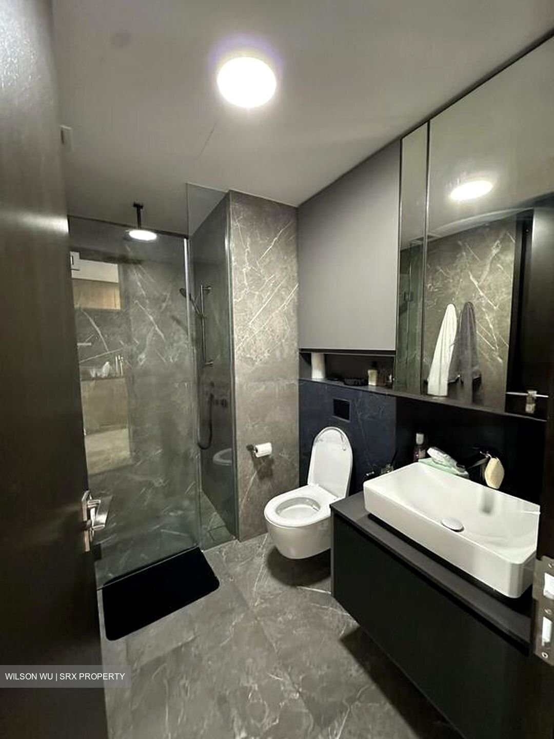Irwell Hill Residences (D9), Apartment #455791641